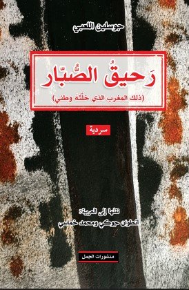 رحيق الصبار ؛ ذلك المغرب الذي خلته وطني