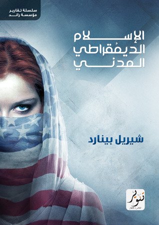 الإسلام الديمقراطي المدني ؛ الشركاء والموارد والاستراتيجيات