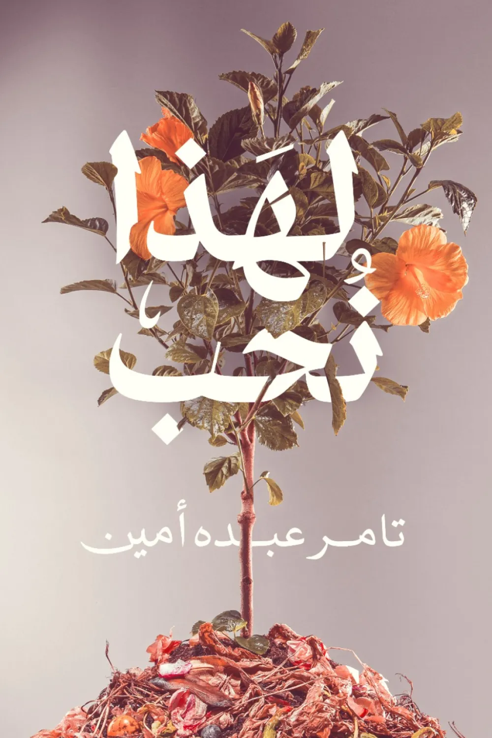 غلاف كتاب لهذا نحب – تامر عبده أمين